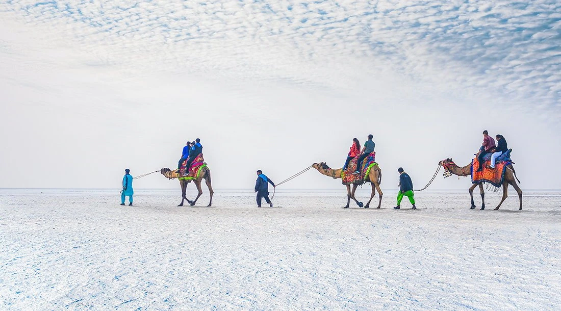 The Great Rann of Kutch Tour